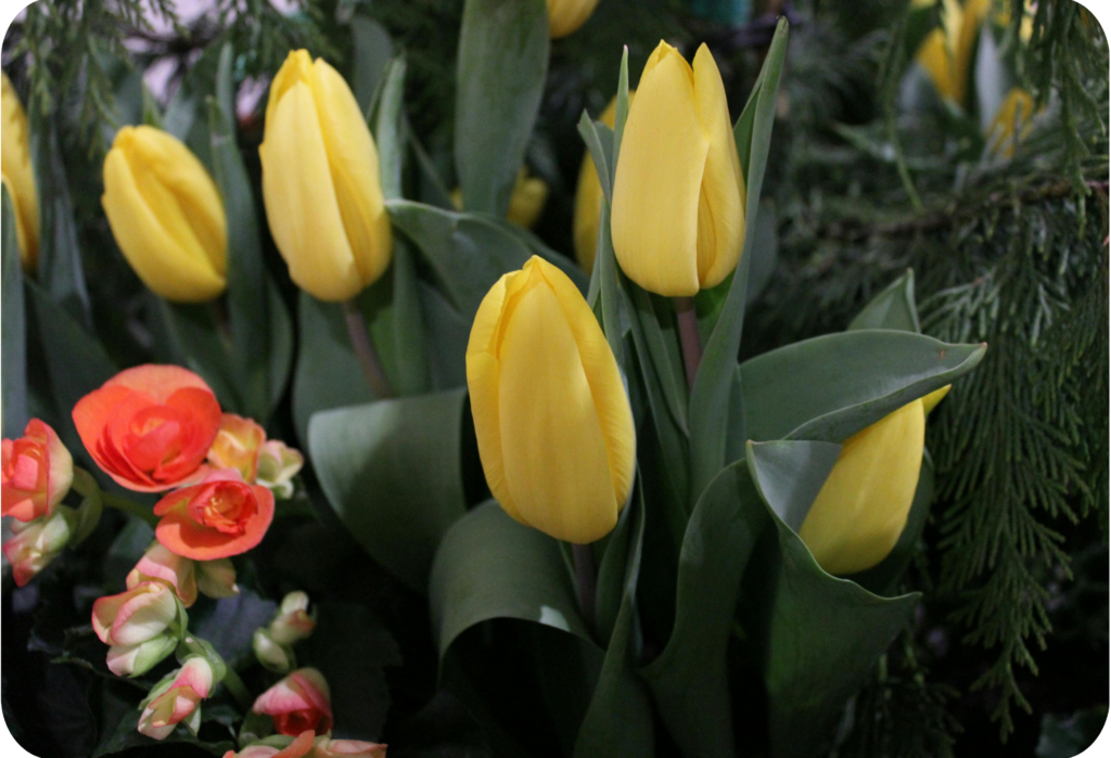 To capture the heart of the market this Valentine’s Day and capitalize on this holiday rush, your business needs integrated digital services.